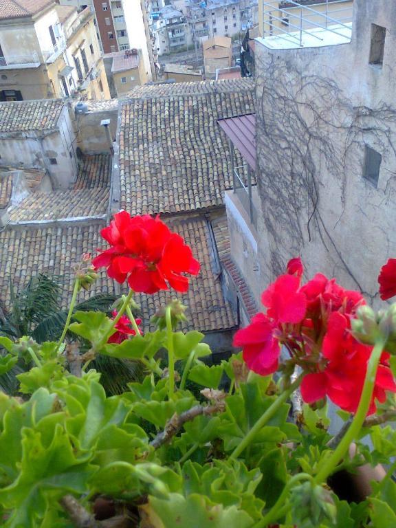 I Tetti Di Girgenti Bed & Breakfast Agrigento Exterior photo